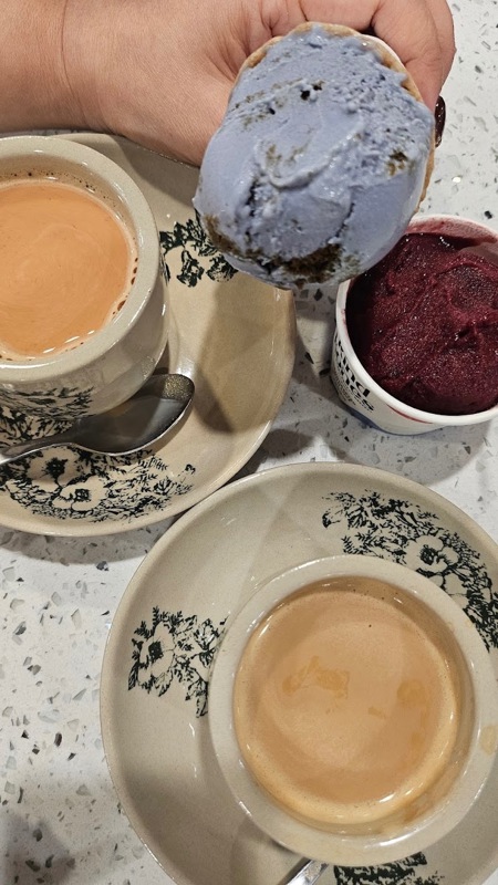 For Sale: Premium Vegan Ice-Cream Franchise In Prime Orchard-Area Mall