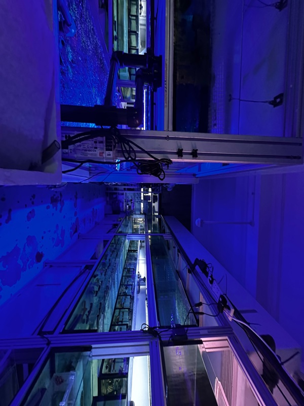 Established Aquatics Business For Sale - Strong Growth Potential