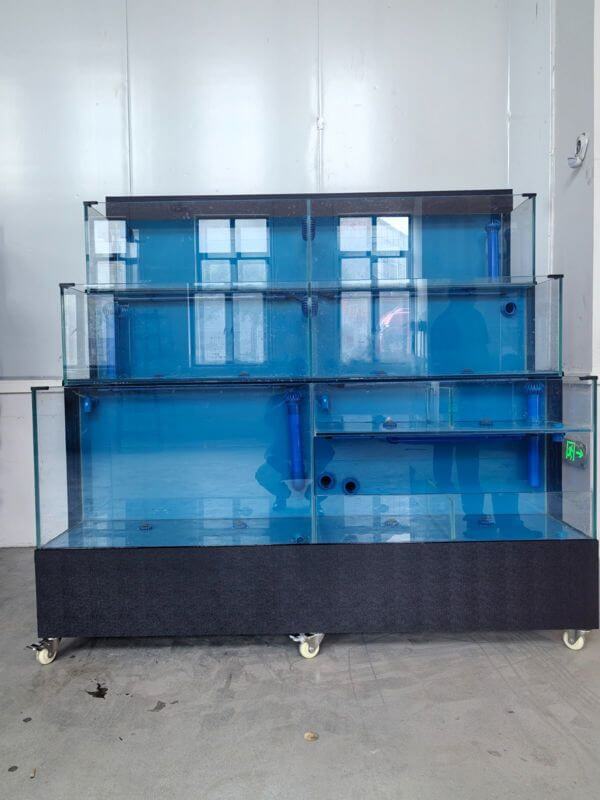 (Expired)Live Seafood Stall