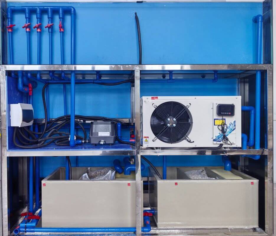 (Expired)Live Seafood Stall