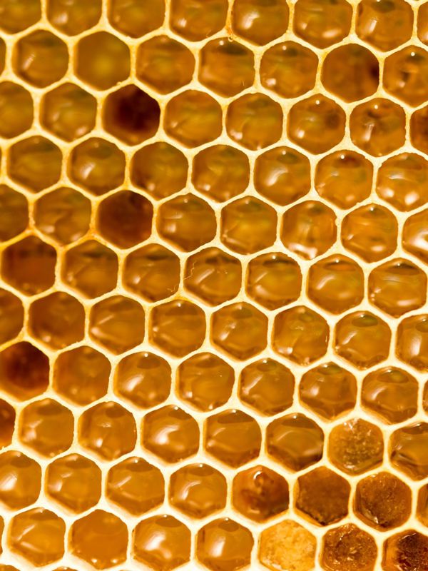 Profitable Wellness Honey Business (Singapore) – Established Retail & Travel Presence