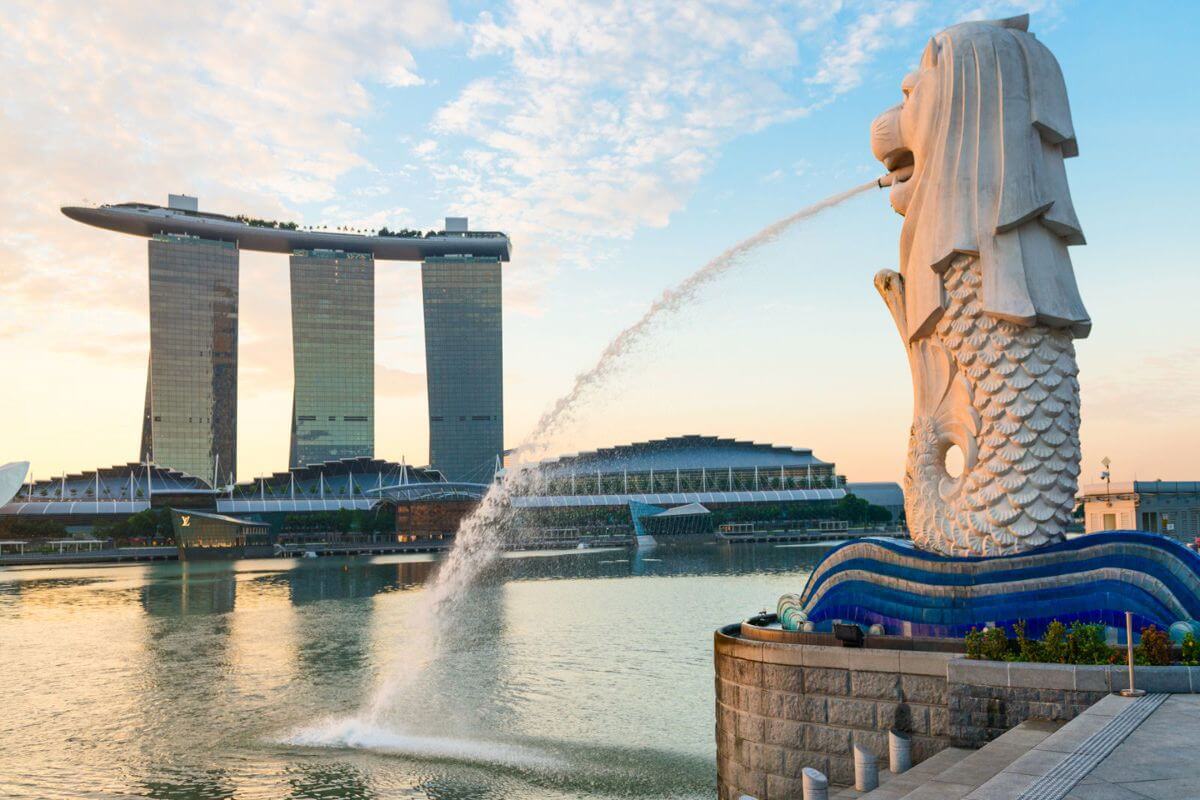 Profitable E-Commerce Pet Brand: Market-Leading Dog Playpen Provider In Singapore