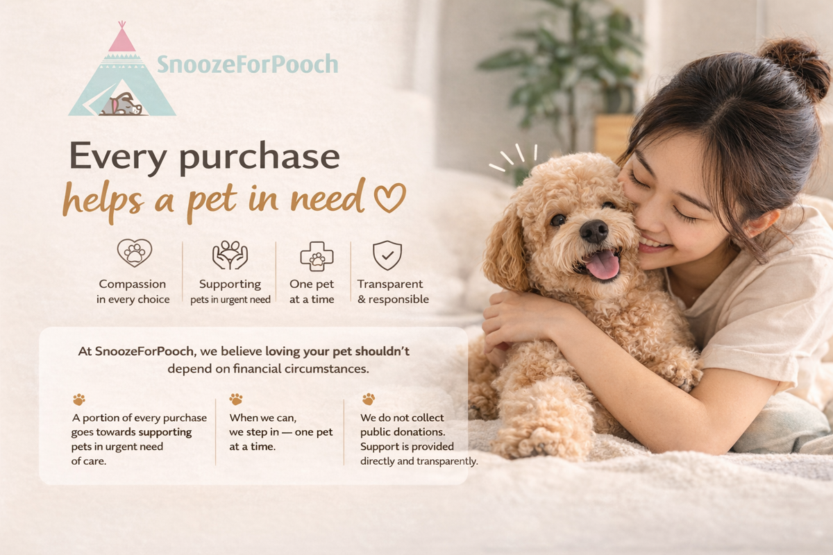 Building SG’s next design-led pet brand, starting with everyday essentials.