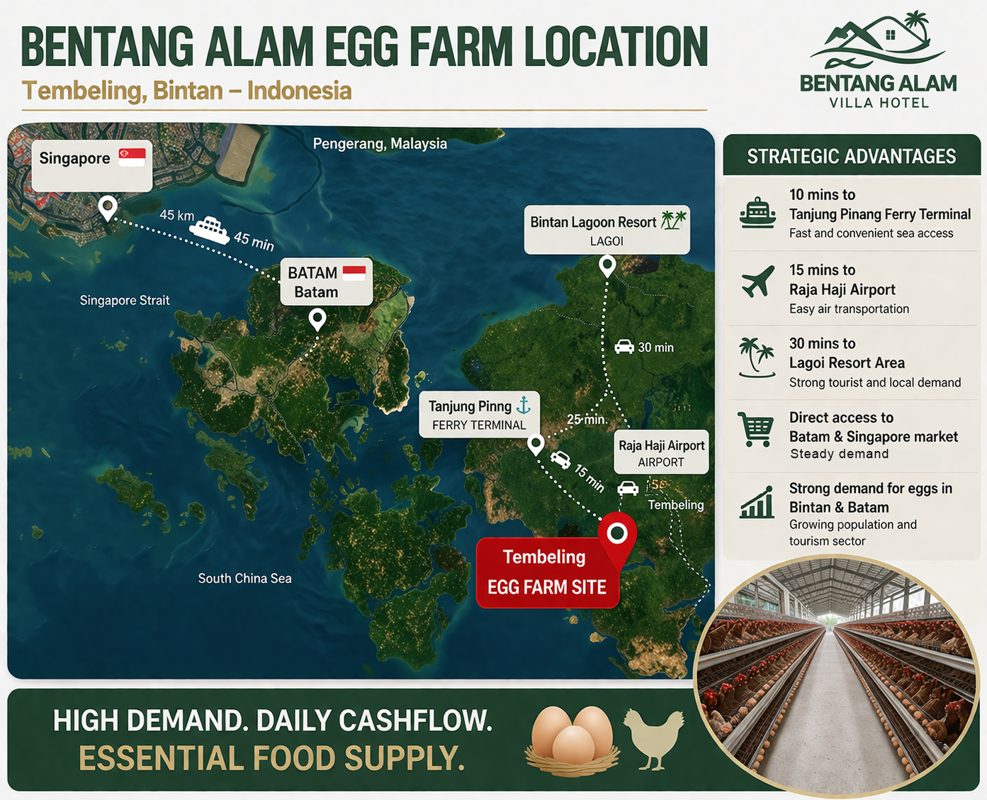 Investment Project Layer Chicken Farm Project In Indonesia Bintan Tg Pinang