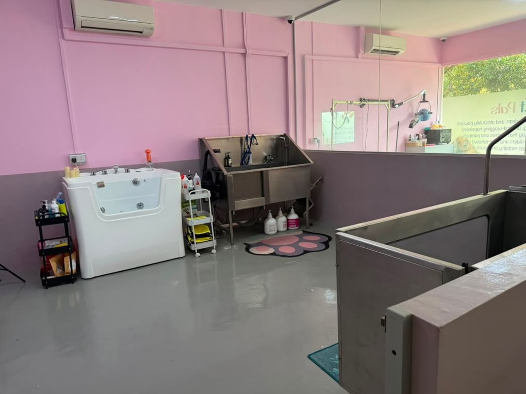 Pet Grooming Shop For Takeover At Thomson
