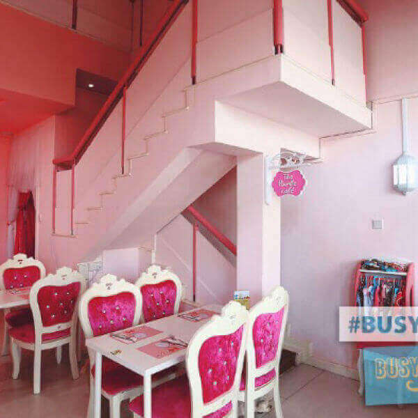 (Expired)Singapore First Themed Pet Cafe For Sale