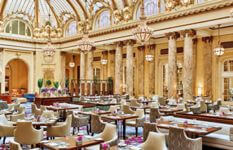 Hotels and Property Management Business