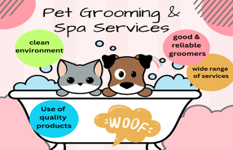 Pet Grooming/Spa,Conducive Envr, Nice Reno, Selling below Asset Value,Growing Client Base 97498301