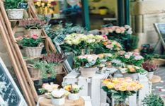 Florist With Stock & Equipment Can Start Business Immediately