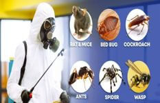 Established Pest Control Business For Sale !
