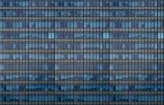 Highly Profitable Pet-Safe Window Netting With Proprietary Locking System