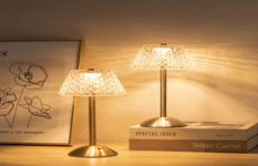 Successful Stylish Home Decor Brand For Sale