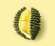 Start Your Own Profitable Durian Business image 1