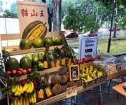 Start Your Own Profitable Durian Business image 3