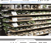 Franchise for Japanese Plant Brand image 2