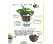 Franchise for Japanese Plant Brand image 4