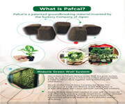 Franchise for Japanese Plant Brand image 5