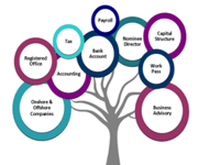 ACCOUNTING & SECRETARIES CONSULTANCY BUSINESS IN SINGAPORE NOW ! image 5