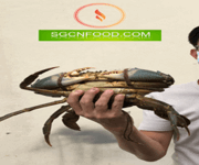 SGCNFOOD Business For Sell image 4