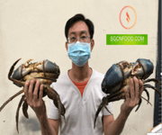 SGCNFOOD Business For Sell image 2