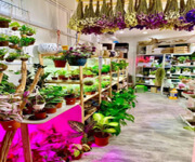 Boutique Plant Shop At Tampines image 1