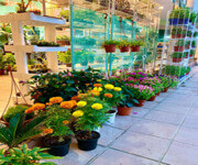 Boutique Plant Shop At Tampines image 2