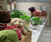 Flower Shop In Shenton Way Area image 1