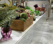 Flower Shop In Shenton Way Area image 2
