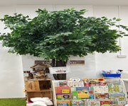 Award-Winning Preschool Looking For Franchise Partners To Expand image 2