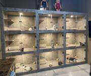 2 storey renovated pet shop for take over image 2