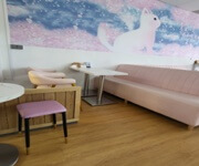 Profitable Dessert cum Bubble Tea Shop For Takeover In Good Location image 1