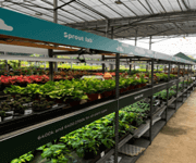 Profitable Ecommerce Brand With Warehouse image 3