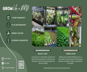 Profitable Ecommerce Brand With Warehouse image 5