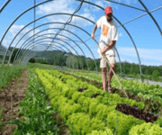 High Profit Margin With Strong Branding Organic Farm Business