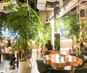 【出售/转让】乌节路网红cafe餐厅 ｜离地orchard铁站5分钟｜可直接接手营业 ｜ 可换招牌 ｜ 租金比市场低 image 1