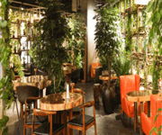 【出售/转让】乌节路网红cafe餐厅 ｜离地orchard铁站5分钟｜可直接接手营业 ｜ 可换招牌 ｜ 租金比市场低 image 2