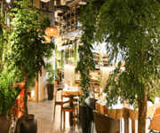 【出售/转让】乌节路网红cafe餐厅 ｜离地orchard铁站5分钟｜可直接接手营业 ｜ 可换招牌 ｜ 租金比市场低 image 5