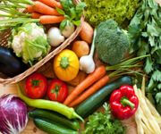 Leading Vegetables Wholesaler / Supplier ! 盈利蔬菜批发生意 ！