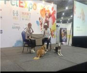 Bespoke Pet Service With Ready Regular Clientsw For Take Over/Partner/Sale (7 Years In Operation) image 12