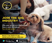 Seeking Investors For A Radical New Mobile App To Rival All Leading Apps - Mooner App image 12