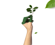 Gardening Brand For Sale (E-Commerce, B2b Partnerships & Warehouse) image 2