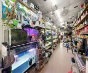 Fish Aquarium Shop Near Bedok Central For Takeover image 4