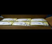 Precision Die Cut Manufacturing image 10