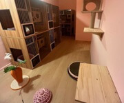 URA Approved Cat Pet Hotel Takeover ( 9 Partition Rooms Available) image 5