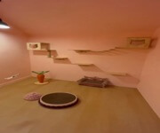 URA Approved Cat Pet Hotel Takeover ( 9 Partition Rooms Available) image 6