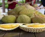 Profitable Durian Business For Sale, Annual Sales >800K, Central Location, Room For Expansion image 3