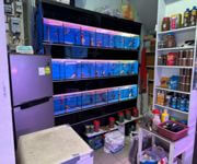 Takeover $20k for Established Ornamental Fish Shop In Pets Walk Serangoon image 6