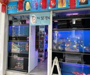 Takeover $20k for Established Ornamental Fish Shop In Pets Walk Serangoon image 7