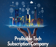 Profitable Tech Company (Revenue $400K, Net Margins 40%)