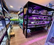 Established Aquarium Shop For Takeover image 8
